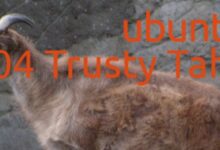 Quoi de neuf dans les dérivés officiels d'Ubuntu 14.04