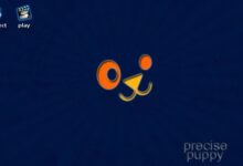 Puppy Linux avec Ubuntu Favor