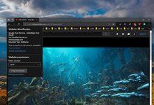 Comment désactiver la lecture automatique de vidéo dans Microsoft Edge