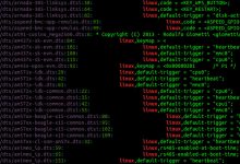 Comment enregistrer la sortie du terminal dans un fichier sous Linux