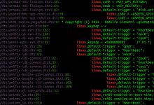 Comment enregistrer la sortie du terminal dans un fichier sous Linux