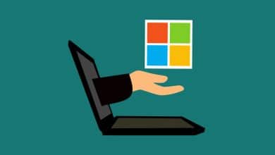 Comment optimiser le cache d'optimisation de la livraison dans Windows 10