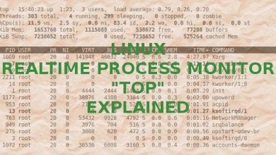 Moniteur de processus en temps réel Linux (haut) expliqué