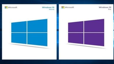 Windows 10 Famille vs Windows 10 Pro : lequel est fait pour vous ?
